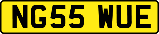 NG55WUE