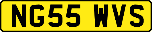 NG55WVS