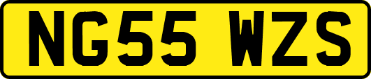 NG55WZS