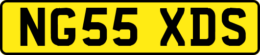 NG55XDS