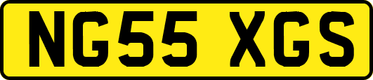 NG55XGS