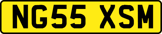 NG55XSM