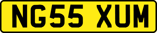 NG55XUM