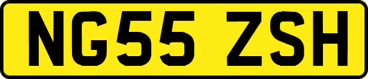 NG55ZSH