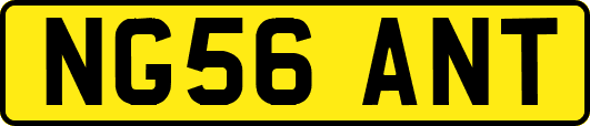 NG56ANT