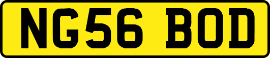 NG56BOD