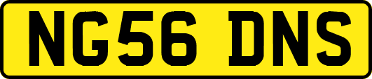 NG56DNS