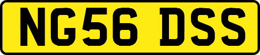 NG56DSS