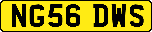 NG56DWS