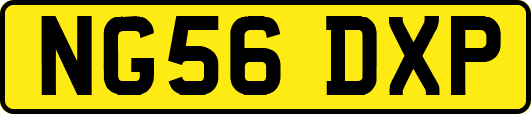 NG56DXP