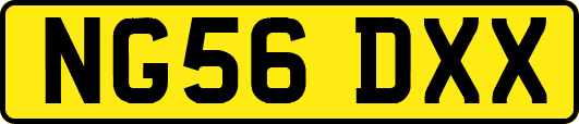 NG56DXX