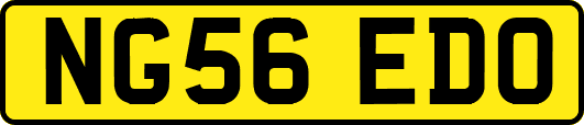 NG56EDO