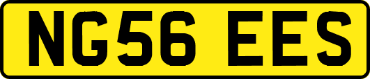 NG56EES