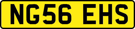 NG56EHS
