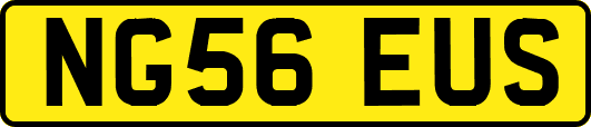 NG56EUS
