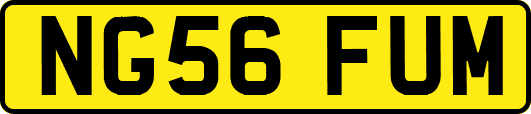 NG56FUM