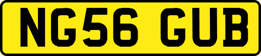 NG56GUB