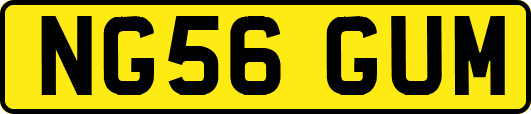 NG56GUM