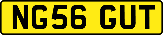 NG56GUT