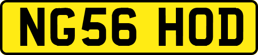 NG56HOD