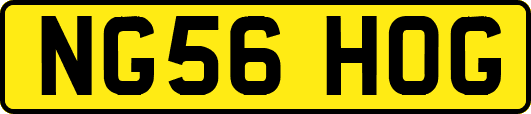 NG56HOG