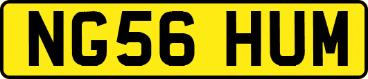 NG56HUM