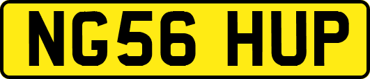 NG56HUP