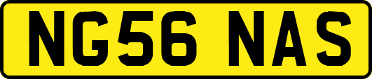 NG56NAS