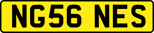 NG56NES