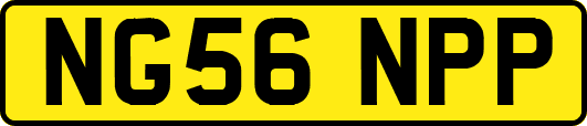 NG56NPP