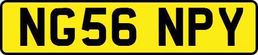 NG56NPY