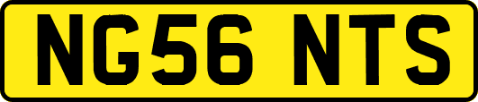 NG56NTS