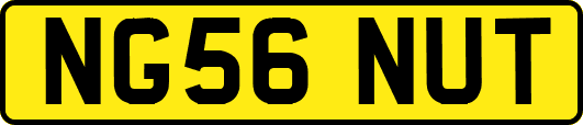 NG56NUT