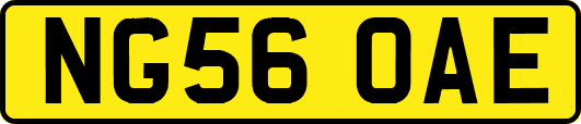 NG56OAE