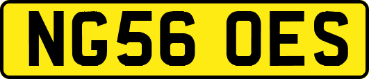 NG56OES