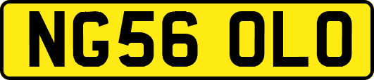 NG56OLO