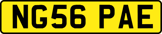 NG56PAE