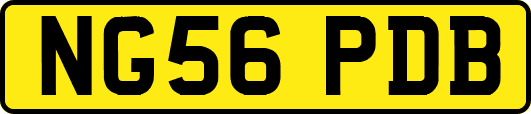 NG56PDB