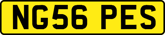 NG56PES