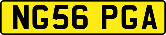 NG56PGA