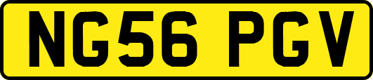 NG56PGV