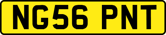 NG56PNT