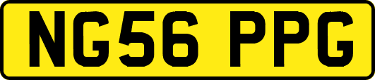 NG56PPG