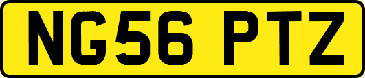 NG56PTZ