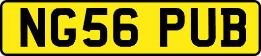 NG56PUB