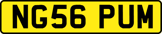 NG56PUM