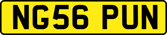 NG56PUN