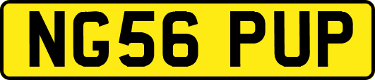NG56PUP