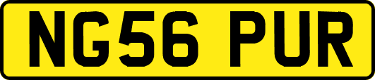 NG56PUR