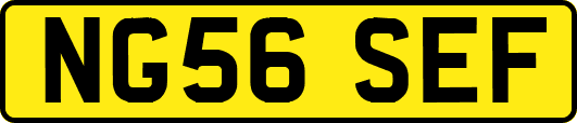 NG56SEF